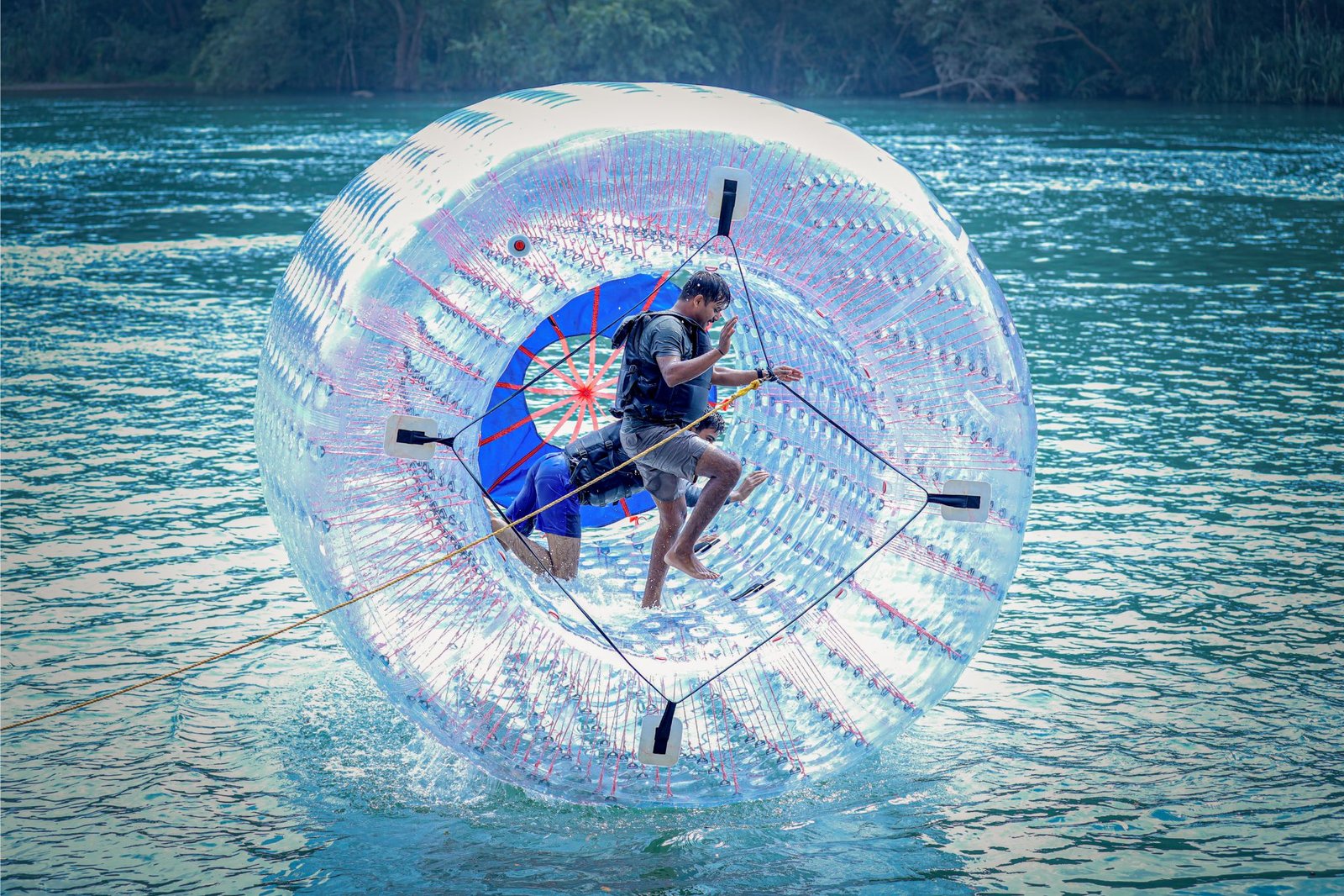 Water activity