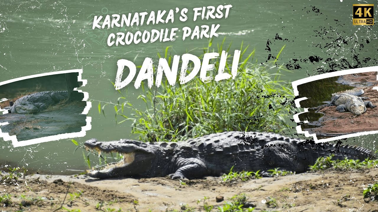 Dandeli sightseeing