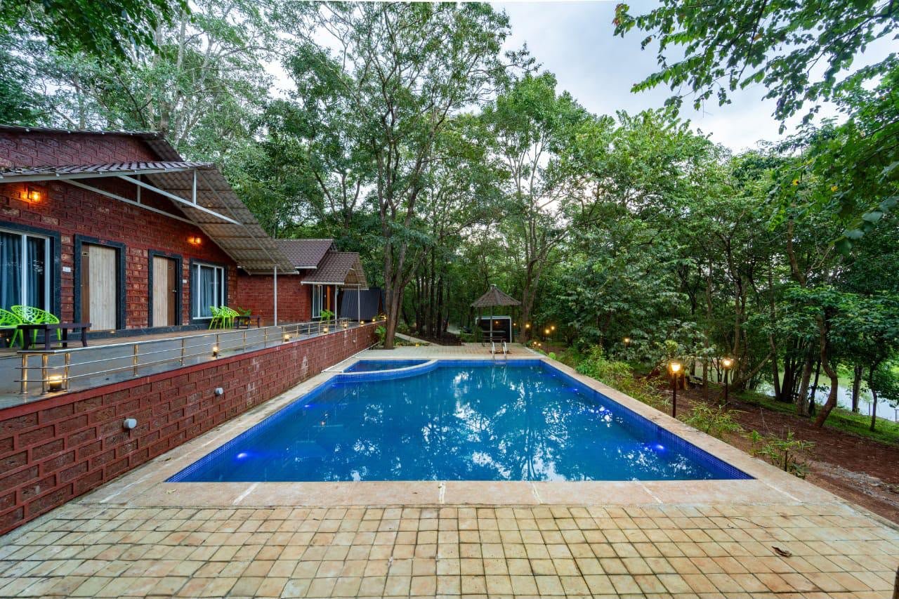 Pool View Jungle Resort